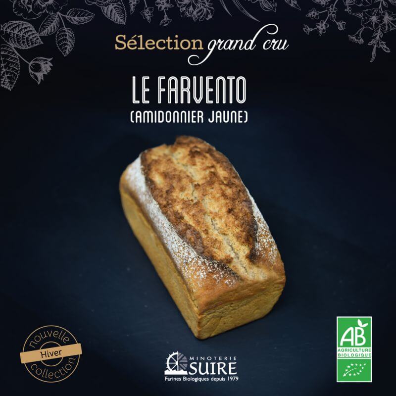 Nouveauté Hiver 2022 : Sélection Grand Cru « Le Farvento »