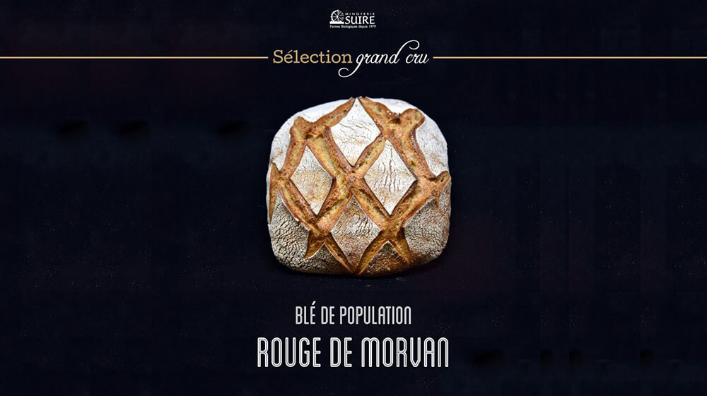 Nouveauté Sélection Grand Cru : Rouge de Morvan