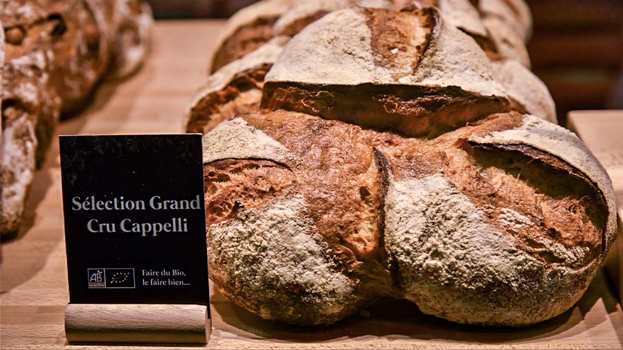 Nouvelle Sélection Grand Cru « Le Cappelli », le pain aux notes italiennes