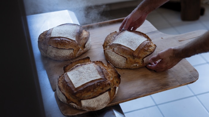 Tourte de Meule Bio de la Minoterie Suire sortant du four