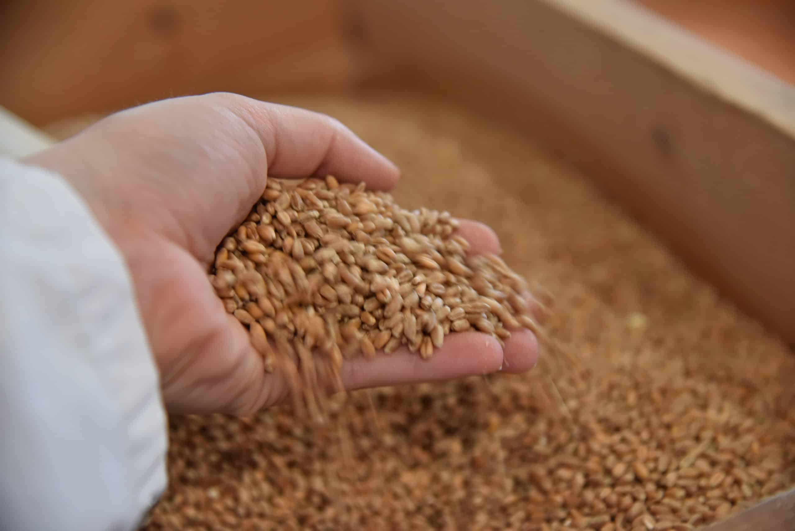 Offre d’emploi : Conducteur de Ligne / Meunier de suppléance (H/F)