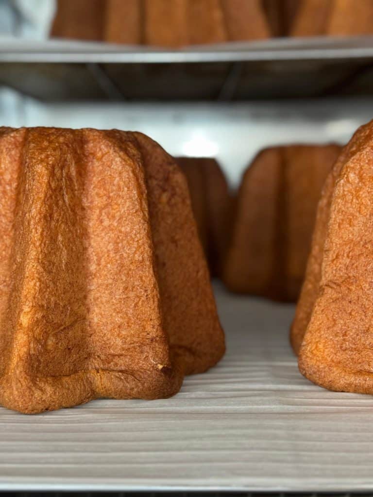 photo de la formation viennoiseries et brioches 100% levains