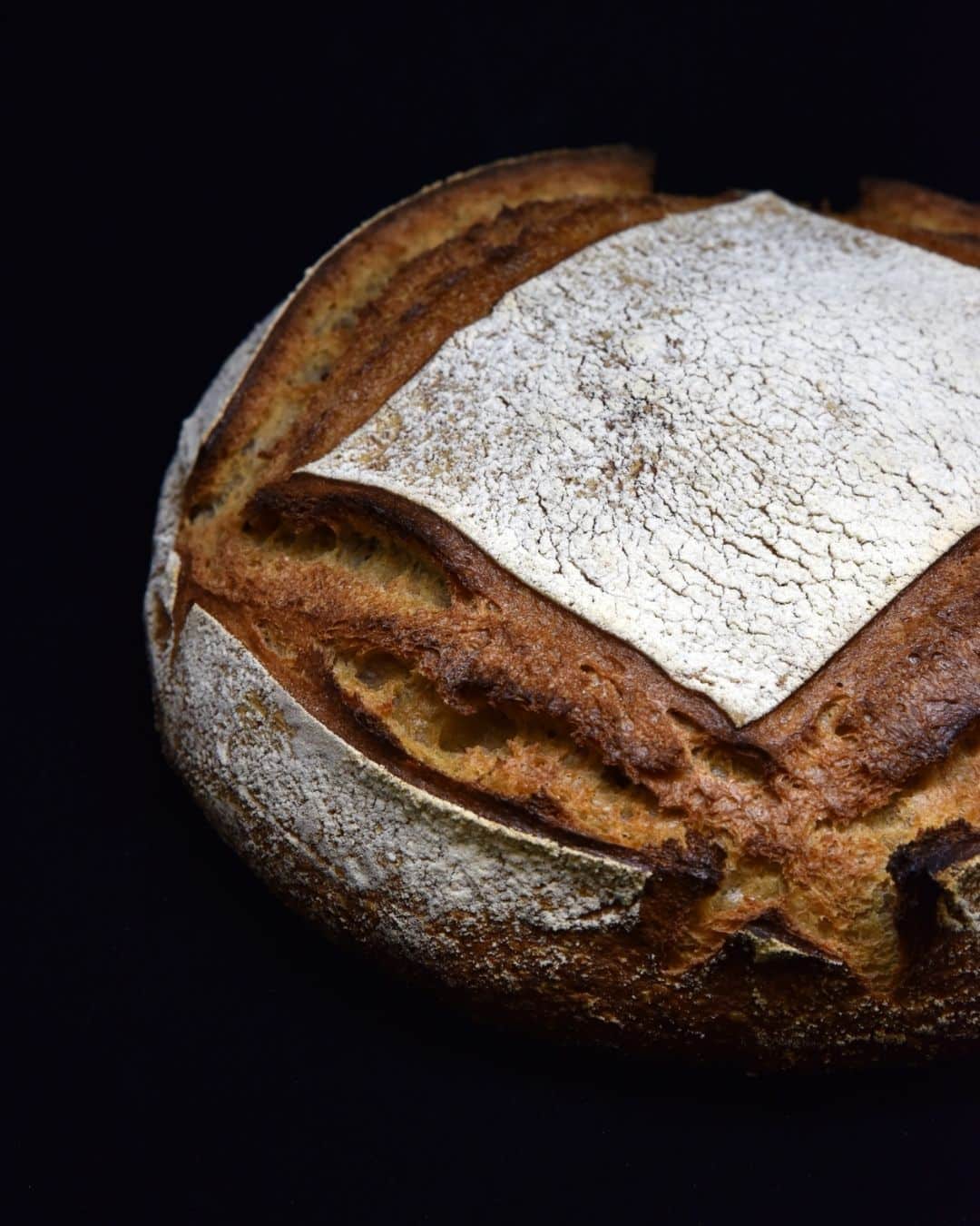 Offre d’emploi : Commercial(e) Export Péninsule Ibérique (H-F)